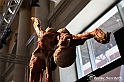 VBS_2818 - Mostra Body Worlds